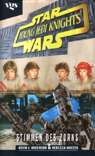 Star Wars - Young Jedi Knights 9: Stimmen des Zorns